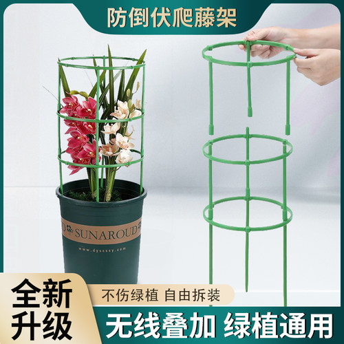 植物支撑杆花架爬藤支架