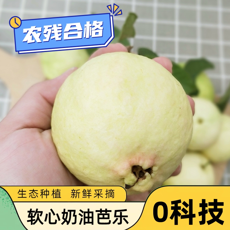 奶油芭乐软糯番石榴冰淇淋口感