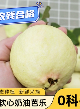 广东奶油芭乐5斤软糯番石榴软心鸡屎果白心巴乐新鲜水果整箱包邮3