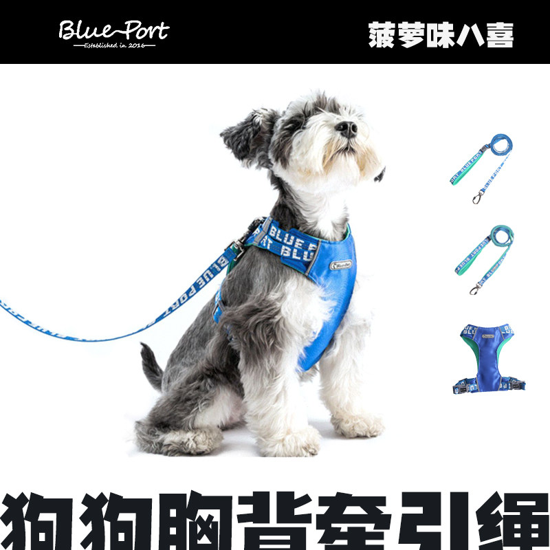 BluePort宠物狗狗反光胸背带防挣脱牵引绳子中小型犬泰迪外出遛狗
