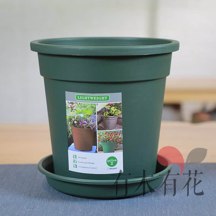 环球二代加仑月季铁线莲花盆塑料