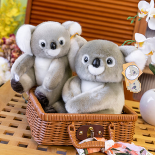 新款考拉公仔毛绒玩具树袋熊玩偶布娃娃儿童节生日礼物送男孩女孩