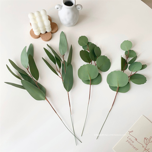 ins风北欧仿真尤加利叶片清新绿植仿真苹果树叶 装饰花瓶插花摆件