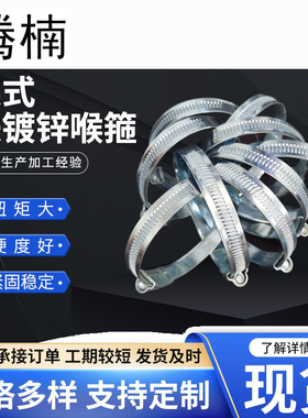 腾楠铁镀锌英式喉箍管箍8-200mm碳钢消防水带卡箍抱箍水管卡扣