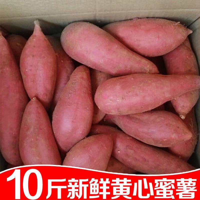 10斤沙地蜜薯板栗黄心红薯番薯小山芋糖心红薯新鲜烤地瓜非烟薯