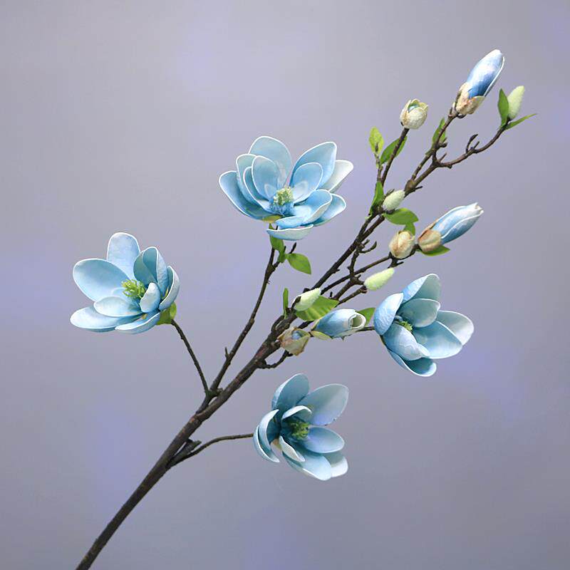 仿真花玉兰花长枝多少钱 仿真花玉兰花长枝优惠券免费领取 有条鱼