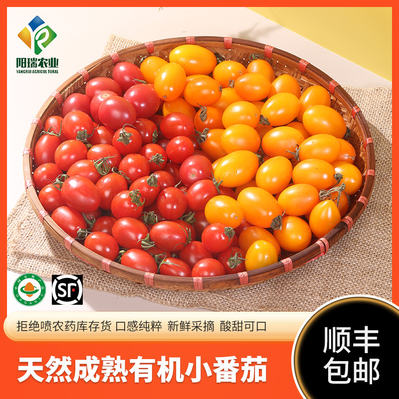 云南高原有机水果番茄有机西红柿顺丰包邮有机认证无农药无化肥,水产肉类/新鲜蔬果/熟食,番茄,淘宝优惠券,粉丝福利购,淘宝优惠卷