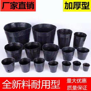 营养袋子植物培育盒花木场番茄黑塑料种苗杯袋种植营养盆幼苗盘