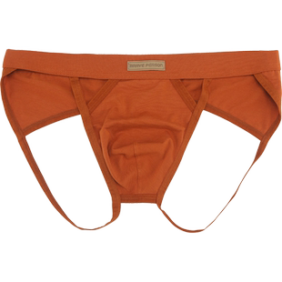 【2条】男士低腰弹力棉质透气吸汗紧身大码内裤纯色U凸囊袋双丁裤