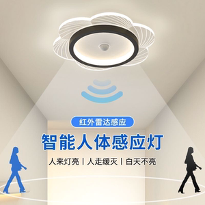 感应灯人来即亮入户玄关门厅楼道夜间人体led过道灯走廊灯吸顶灯