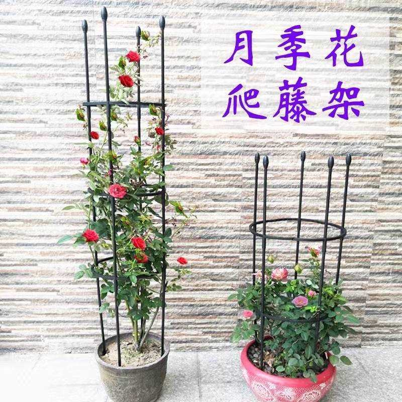 月季花架爬藤架花支架玫瑰花架植物攀爬藤架子阳台铁线莲园艺欧式