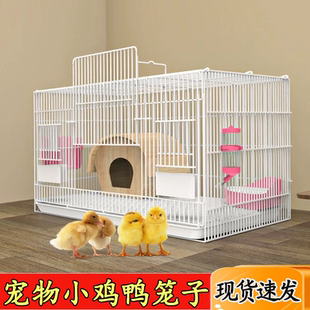 鸭笼子家用柯达鸭室内专用笼小鸡笼鹌鹑养殖笼子防臭加密特价清仓