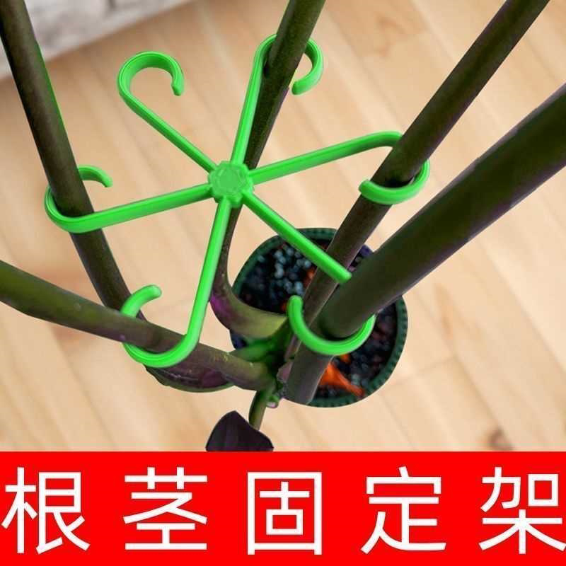 龟背竹支撑杆防倒伏春雨支架固定器绿植物水培枝干花盆架园艺花卉