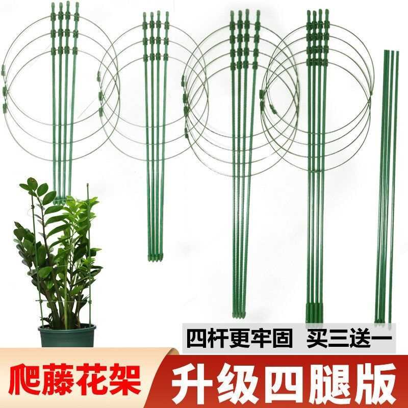爬藤架子花支架月季花架植物盆室内花卉支撑杆园艺铁线莲攀爬架杆