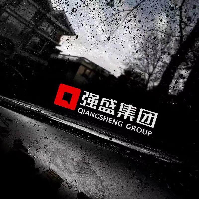 强盛集团车贴狂飙高启强网红同款创意个性汽车文字贴纸电动车贴