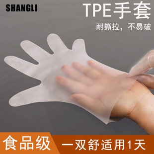 一次性手套TPE食品级耐用厨房餐饮食用卫生防护隔离家用塑料手套