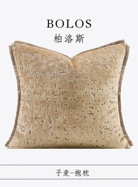 柏洛斯Chic allure〖子麦〗轻奢现代高端卡其燕麦沙发背靠抱枕芯