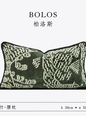 柏洛斯Fashionable『自然之息』轻奢高级感绿色绣花沙发靠背床头