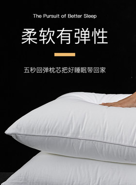 柏洛斯方枕羽丝绒抱枕腰枕轻奢