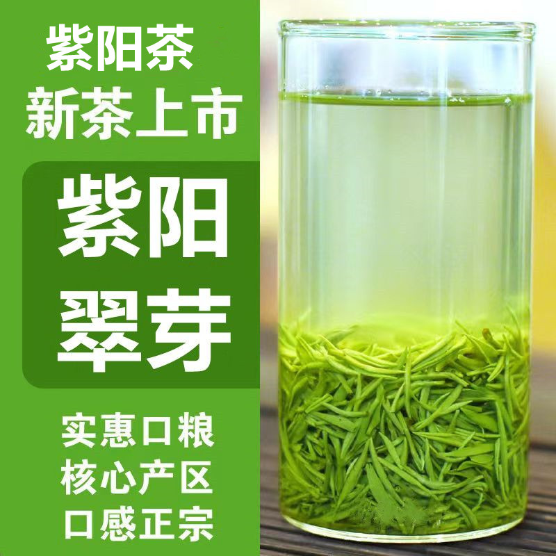 2024新茶紫阳茶翠芽嫩芽