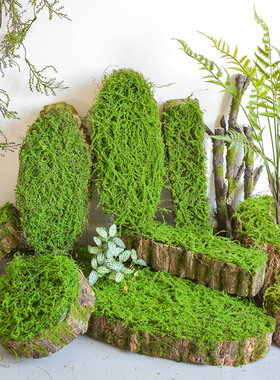 森系创意仿真青苔树皮装饰摆件造景布景摄影道具搭配花器热带雨林