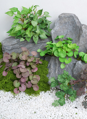 仿真花草假花绿植盆栽插花配材树叶植物墙婚庆背景墙装饰铜钱草