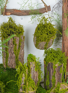 树皮苔藓花器树桩插花道具盆景