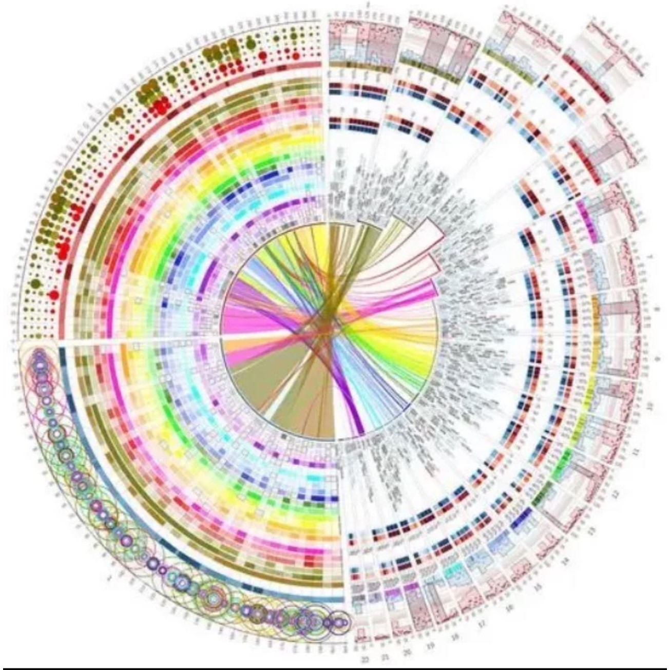 R代做 机器学习 数据挖掘 R语言代做R程序 代做代编 数据分析