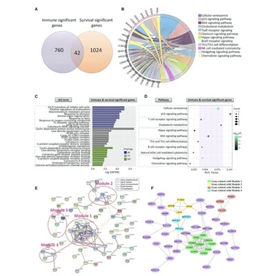 完全从零基础学生物信息Linux软件R语言 多组分析脚本基因组拼接