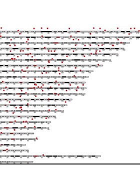 R语言代码Rstudio绘图SCI科研生信医学桑基热图数据分析作图教程