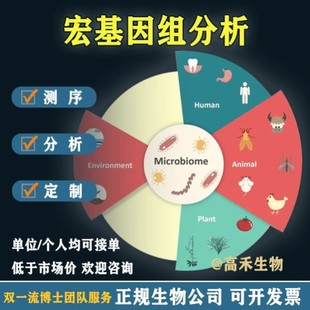 宏基因组数据分析/宏基因组装/物种功能注释/个性化定制/课程辅导