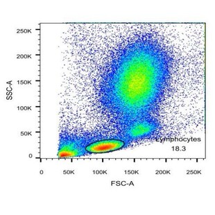 流式实验指导解惑,流式数据分析解惑