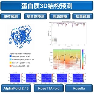 蛋白质3D结构预测/AlphaFold2&3服务/相互作用预测