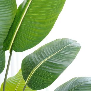 天堂鸟仿真绿植高端轻奢造景摆件假绿植装饰室内大型旅人蕉盆栽花