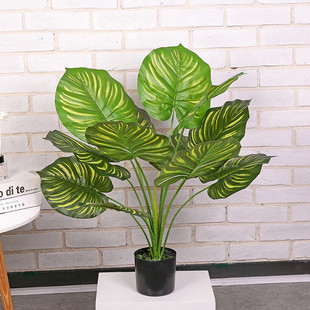 客厅橱窗餐厅布景仿真春雨假绿植盆栽喜林芋龟背搭配摆件装饰假花