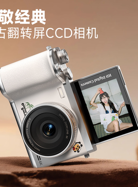 TC09ccd数码照相机学生党高清随身小型复古送女生生日情人节礼物