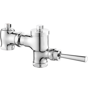 全铜卧式手扳大便冲洗阀门蹲便器延时冲水开关厕所自闭式手动按压
