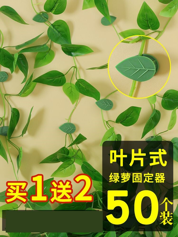 绿箩爬上神器绿箩爬墙上固定神器绿萝植物卡扣夹藤蔓爬墙夹子双面