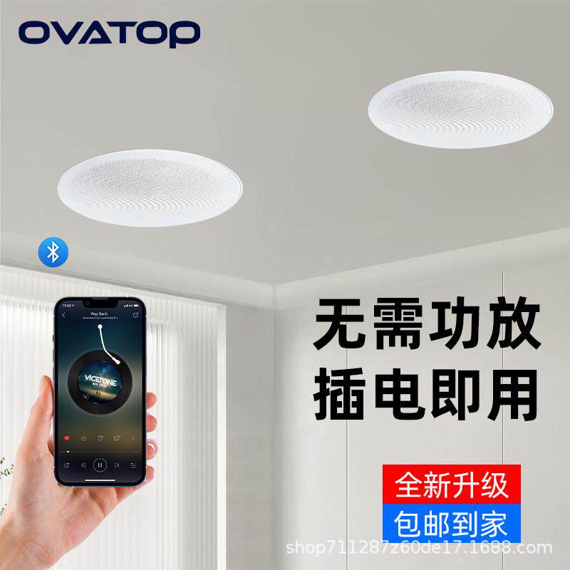 2026德国新款无线蓝牙吸顶音响 店铺天花吊顶喇叭 家用嵌入式音箱