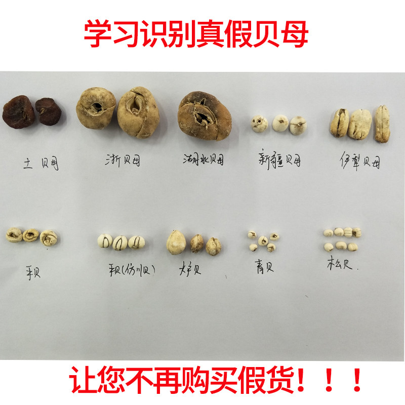 川贝川贝母中药材官方旗舰店正宗非500g野生颗青炉平浙伊犁母贝粒