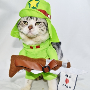 抖音八嘎装宠物网红可爱搞笑搞怪狗狗猫咪衣服巴哥比熊泰迪柴犬衣