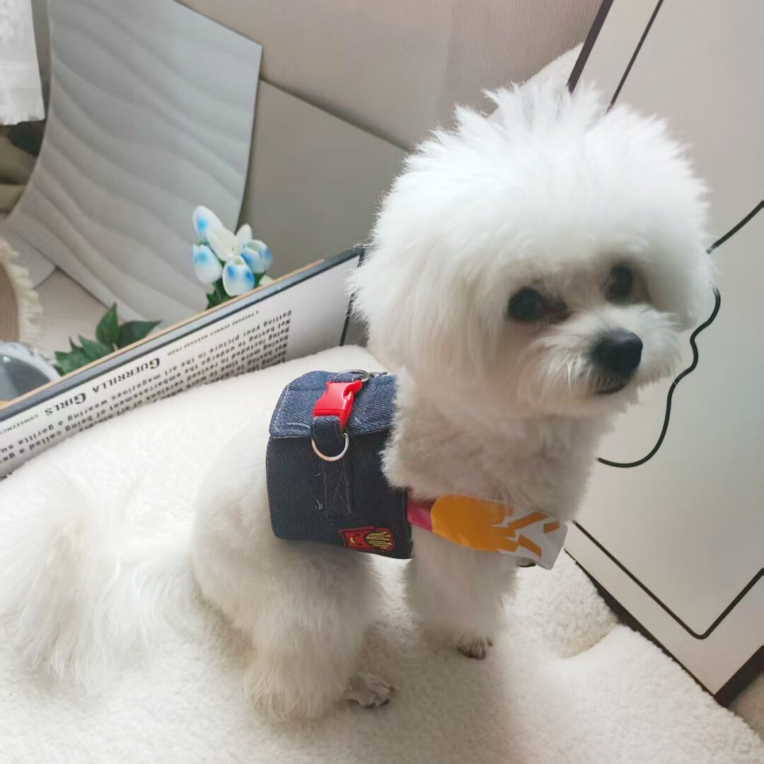 宠物狗狗衣服春夏薄款牛仔背心