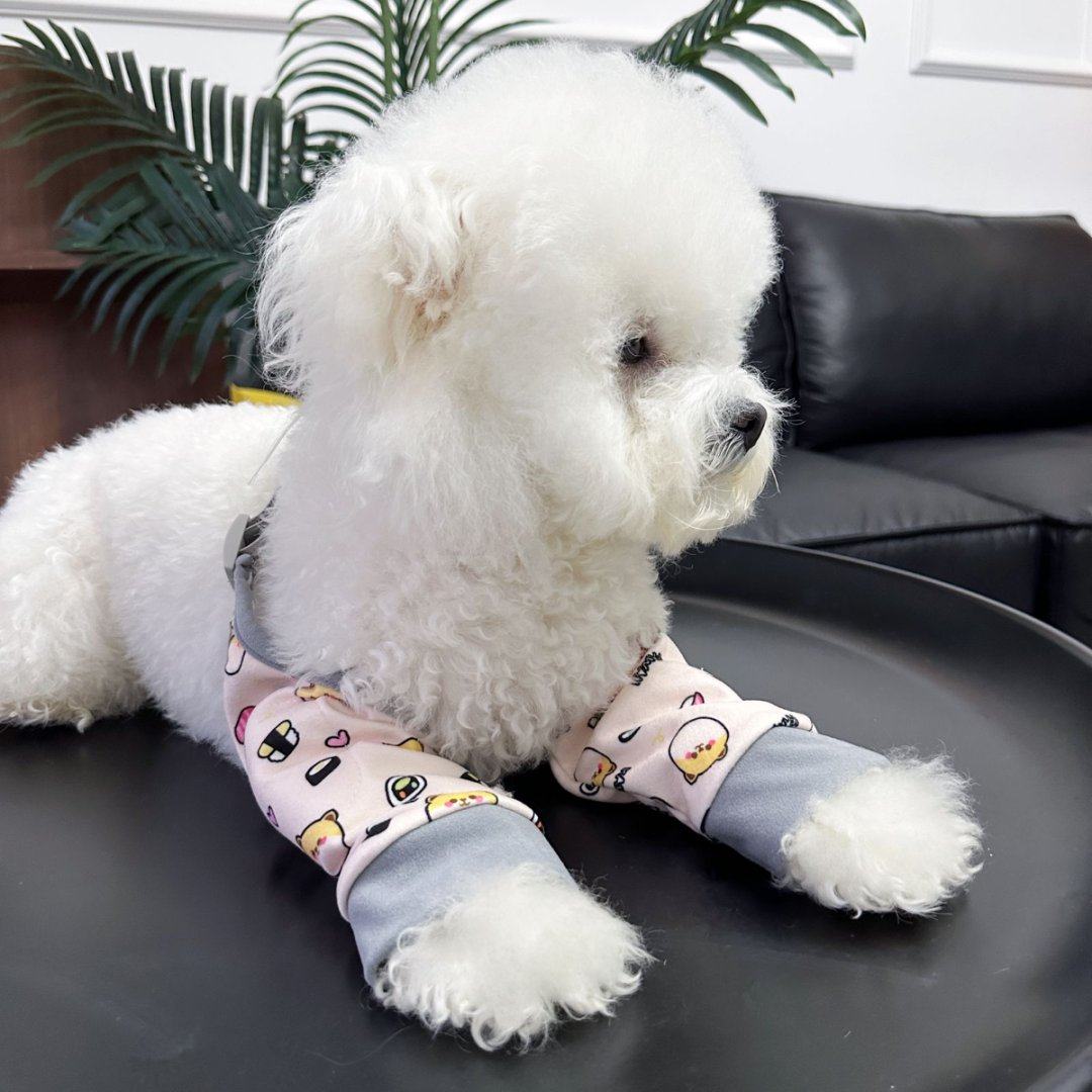 宠物护膝护肘衣服护腿金毛柴犬比熊防磨耐脏防灰中型大型犬保护套