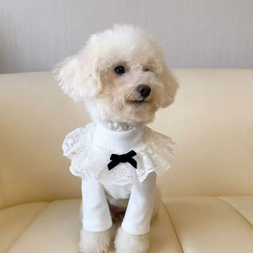 猫咪狗狗衣服公主风春秋冬季防掉毛布偶美短蓝白德文银渐层打底衫