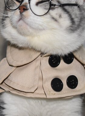 猫猫狗狗风衣围脖四季通用