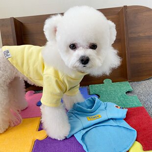 宠物衣服秋冬保暖雪纳瑞比熊泰迪马尔西高地小型幼犬可爱打底卫衣