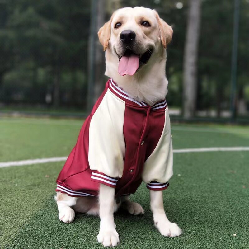 棒球聚酯纤维中大型犬狗狗