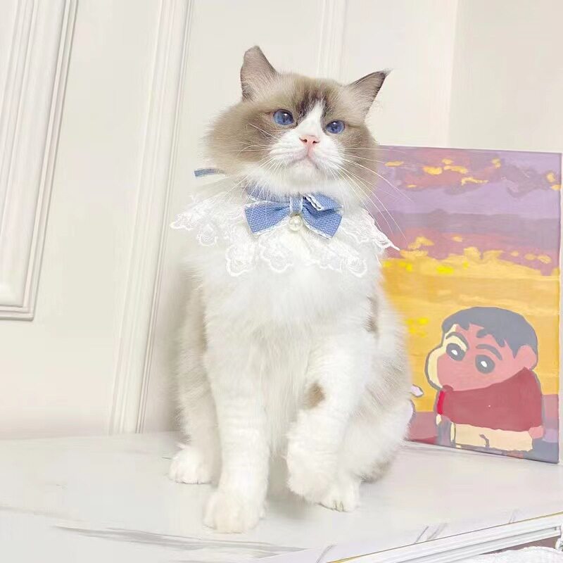 宠物口水巾猫咪围嘴围兜猫狗装饰围巾可爱蕾丝蝴蝶结花边围脖项圈