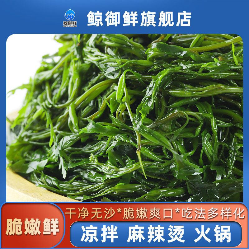 鲸御鲜鞭炮笋马尾藻脆嫩5斤整箱装干净凉拌麻辣烫火锅食材长寿菜