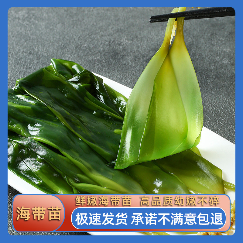 鲸御鲜海带苗小海带嫩苗火锅